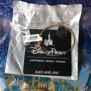 Alex and Ani Disney Cruise line bracelet